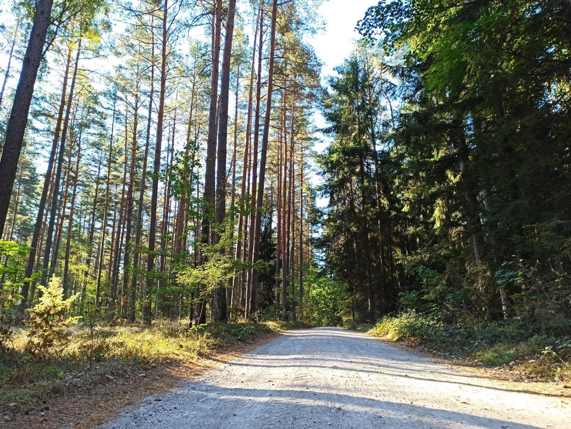 Mazurska Lesniczowka Nowy Zyzdroj B&B 외부 사진